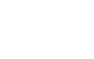 Exec Logo